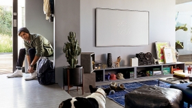 See The Picture, Not The TV