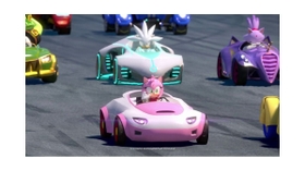 Customize Your Race