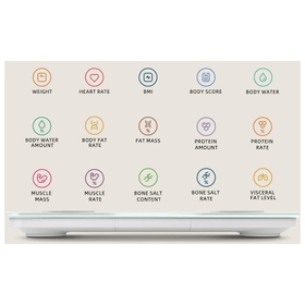 Comprehensive Body Measurements